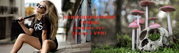 ПСИЛОЦИБИНОВЫЕ ГРИБЫ Алзамай