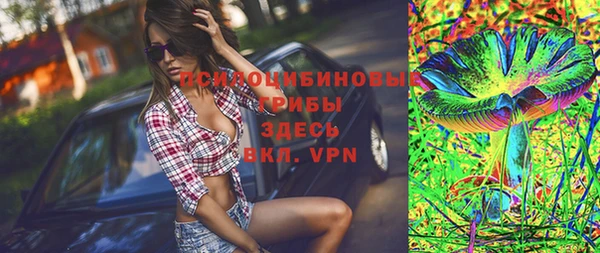 ПСИЛОЦИБИНОВЫЕ ГРИБЫ Алзамай