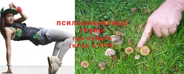 амфетамин Осинники