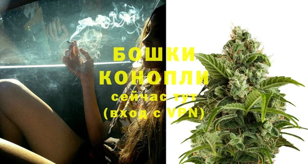 крисы Осташков