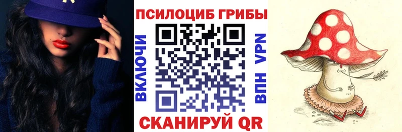 Купить  Богданович  Галлюциногенные грибы Psilocybine cubensis 