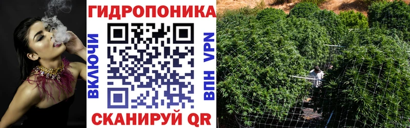Купить закладки Богданович Бошки марихуана AK-47